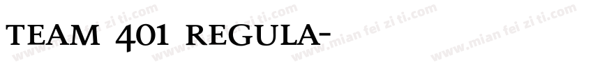 Team 401 Regula字体转换